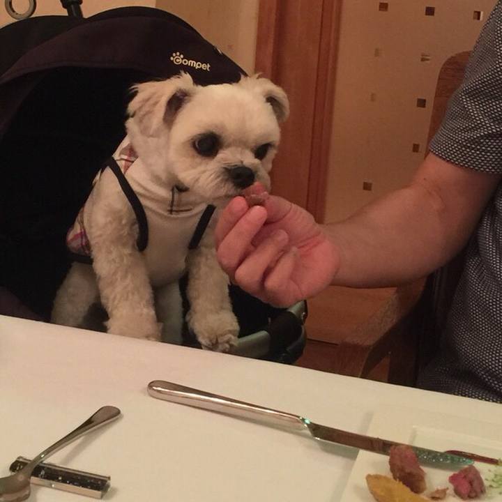 D94f21c6 fdd1 4295 8c34 38a5ad099a0e