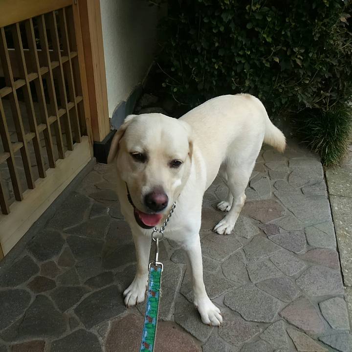 D94f388a dab2 4247 9fe7 f97533f27218