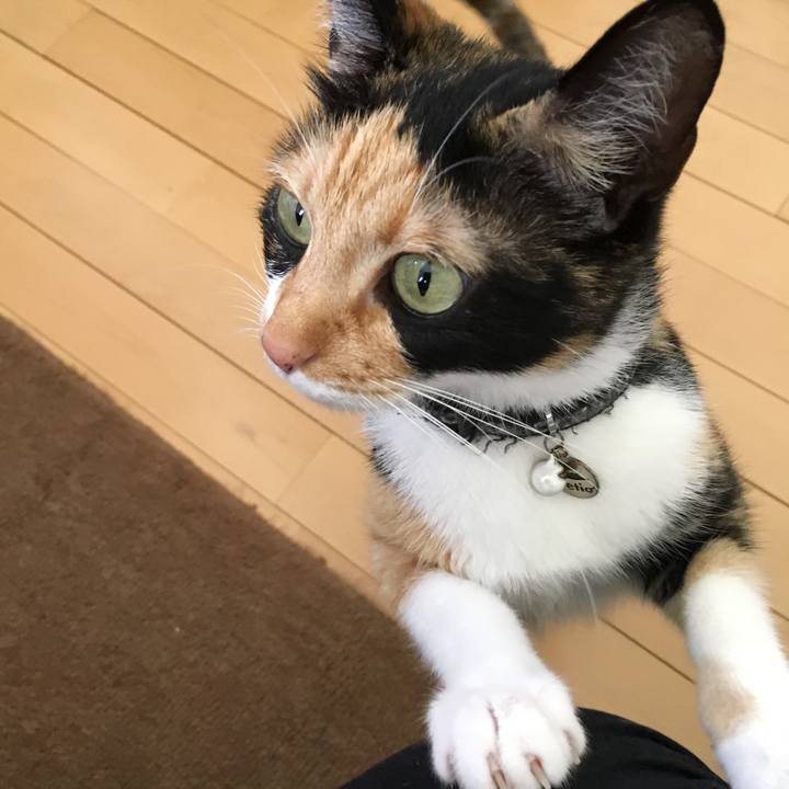 D94fb9dd b50c 41e7 ba91 720a269af31f