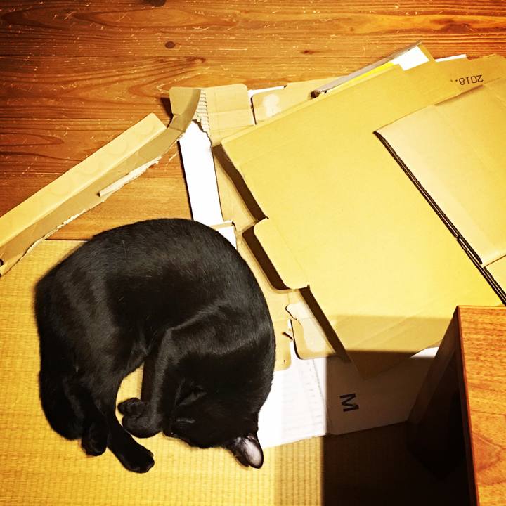 D9504d1f d0ed 4241 9106 92b50833f6f9