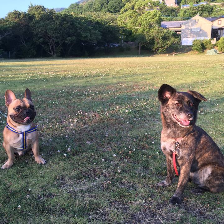 D9504ecb 1ce3 4a8d b9f1 16bd7e91ab75