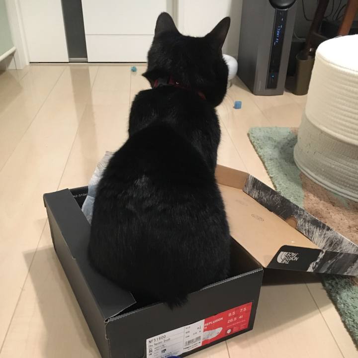 D9508812 03e2 44ab a954 87c97611f26c