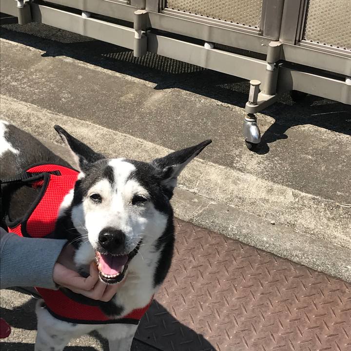 D950da0f 070b 473c a3c2 608e0ba8af44