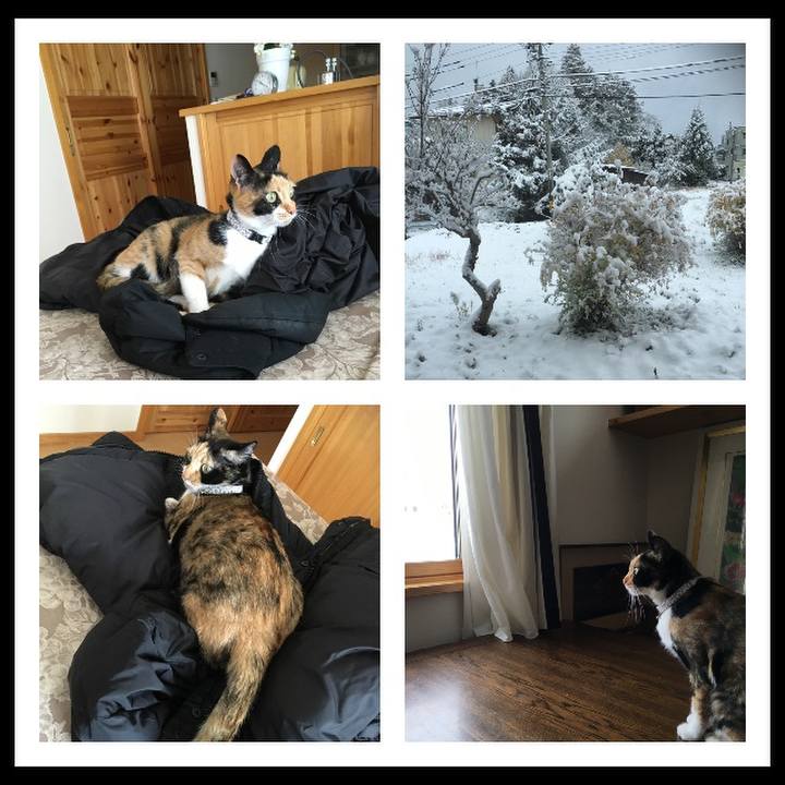 D950fe1b b58f 4bf0 b500 b99ffb829f20