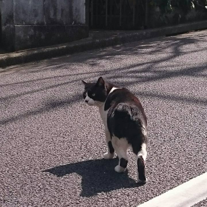 D951622c d8b3 4be0 9f8f 5feda816c286