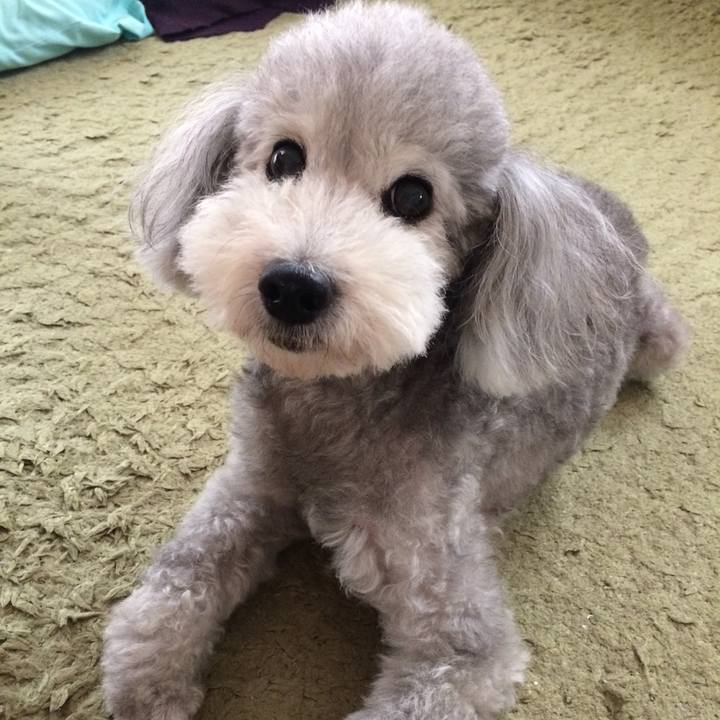 D9517174 0837 4ddf a3f8 cc536eee7cb9