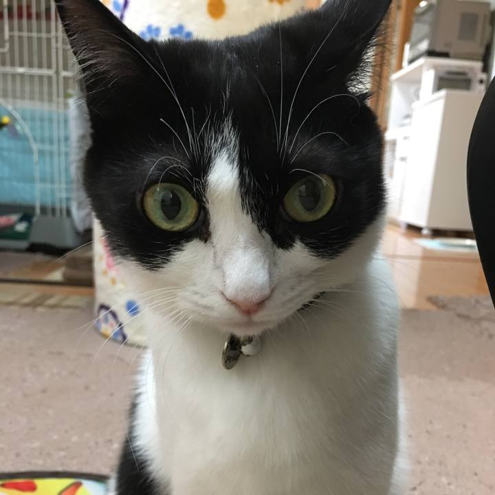 D95173e1 c35c 4ad8 a7f3 14a6425412fc