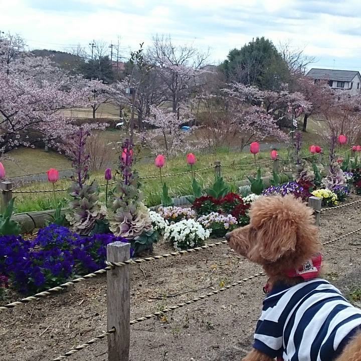 D951aaac 3dea 4e87 88de 8e306e68cf0b