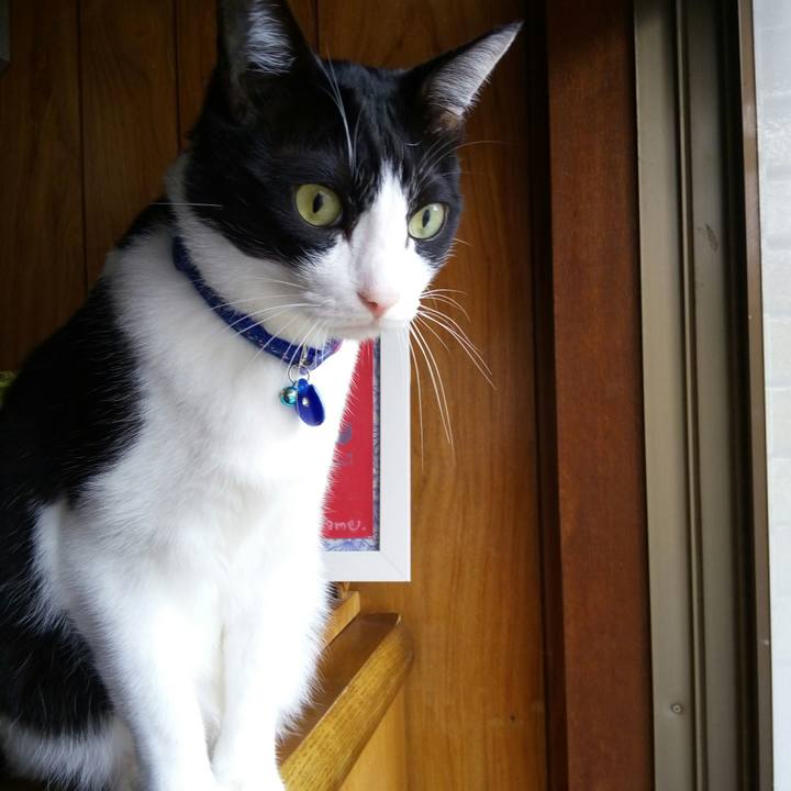 D951c9e5 5e37 4705 b994 ac6201599e81