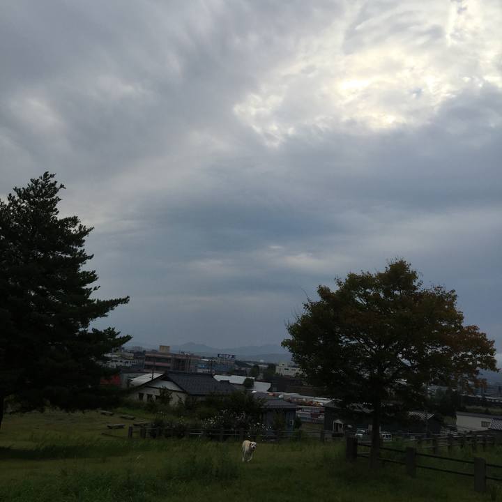 D95228c5 0c8e 44fc b28f c3f233aac2f2