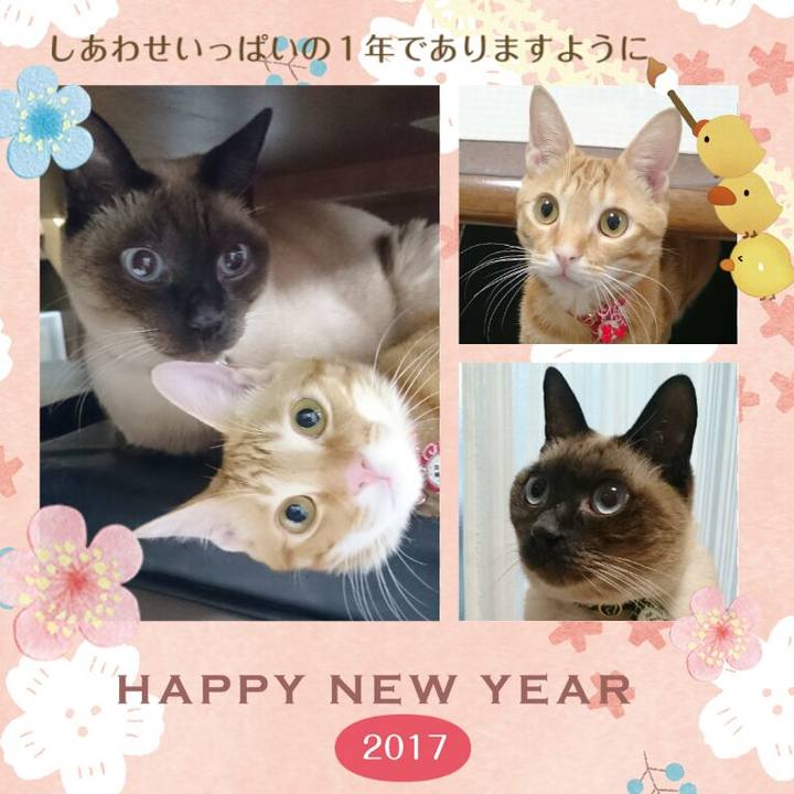 D95261af 97bf 4c97 bffe c7a214a9eb94