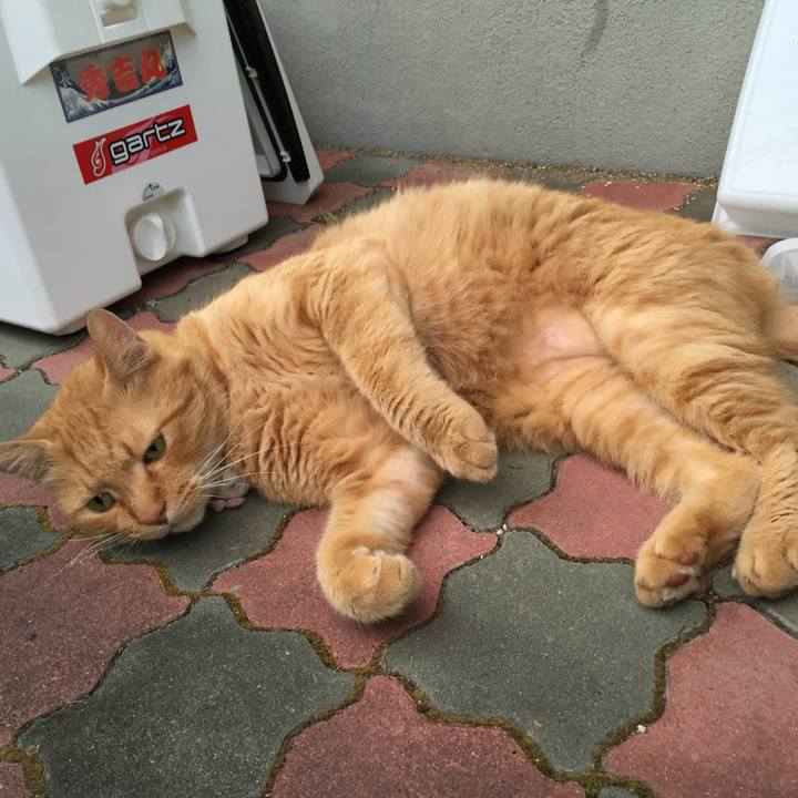 D9532a87 355c 49b6 a1cb 5df7d9b2f018