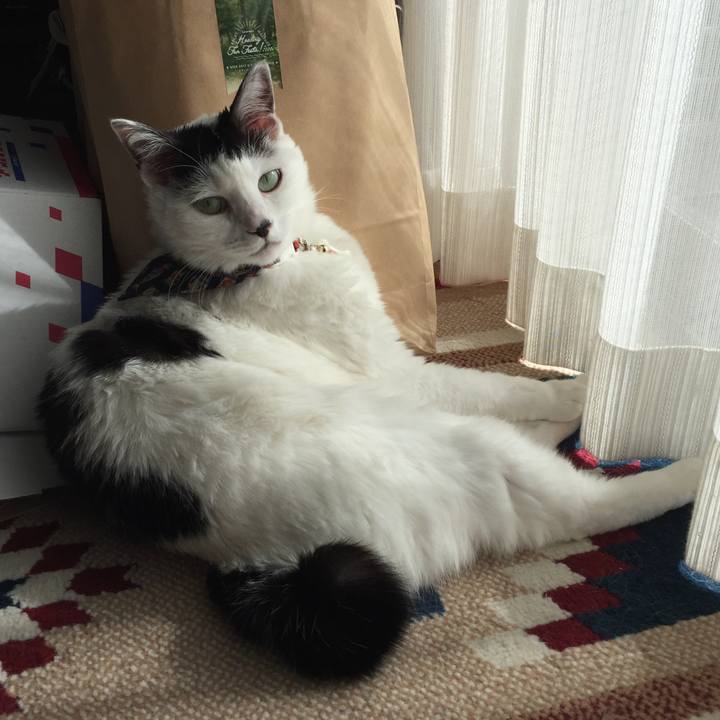 D9532ad1 a9cb 457e 9d55 204048090fdf