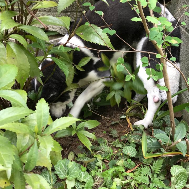 D9533ddf 1260 48a0 b9f9 696217e5c66d