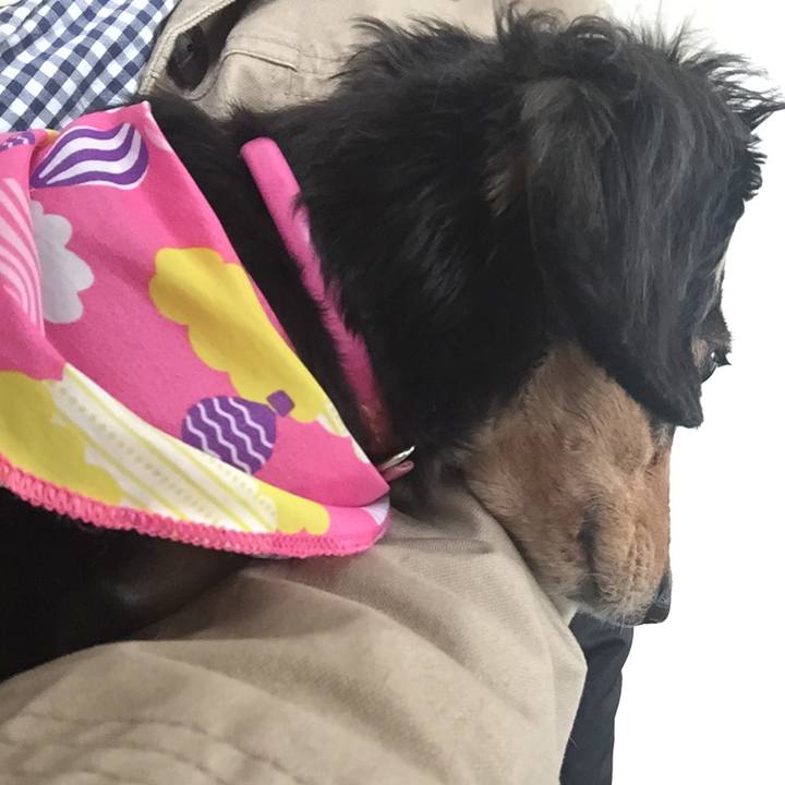 D953a1a0 2676 4eb1 93ba 3db535838e01