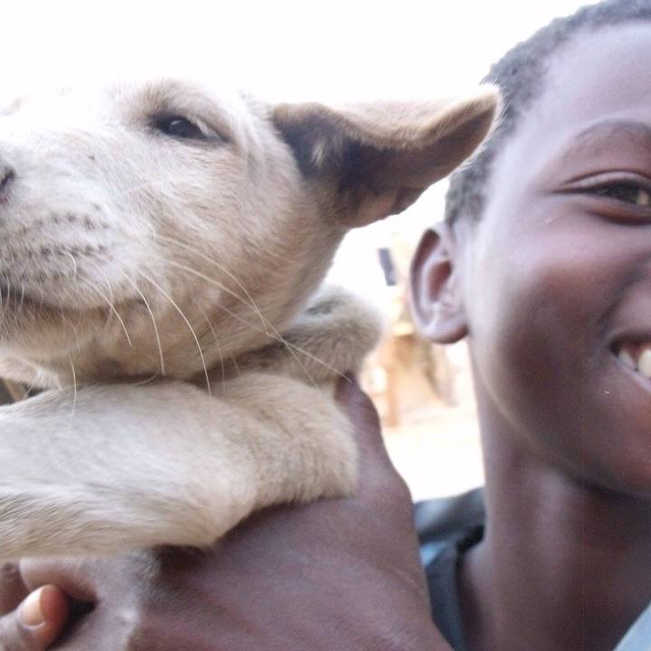 D953c403 fa55 4d79 b072 05bdcc8c36d6