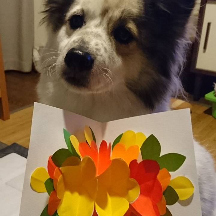 D953d698 dc86 4657 8f93 9e69da213f9f