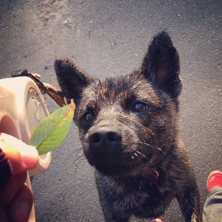 D9551124 3855 4854 bb85 06c2290555db