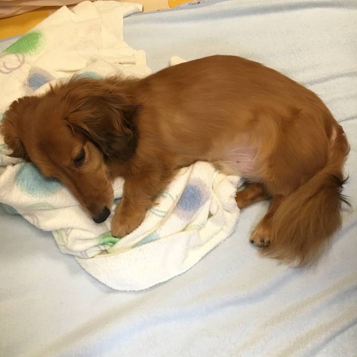 D95566da 2906 4fb6 9e2b 07139fdeaddd