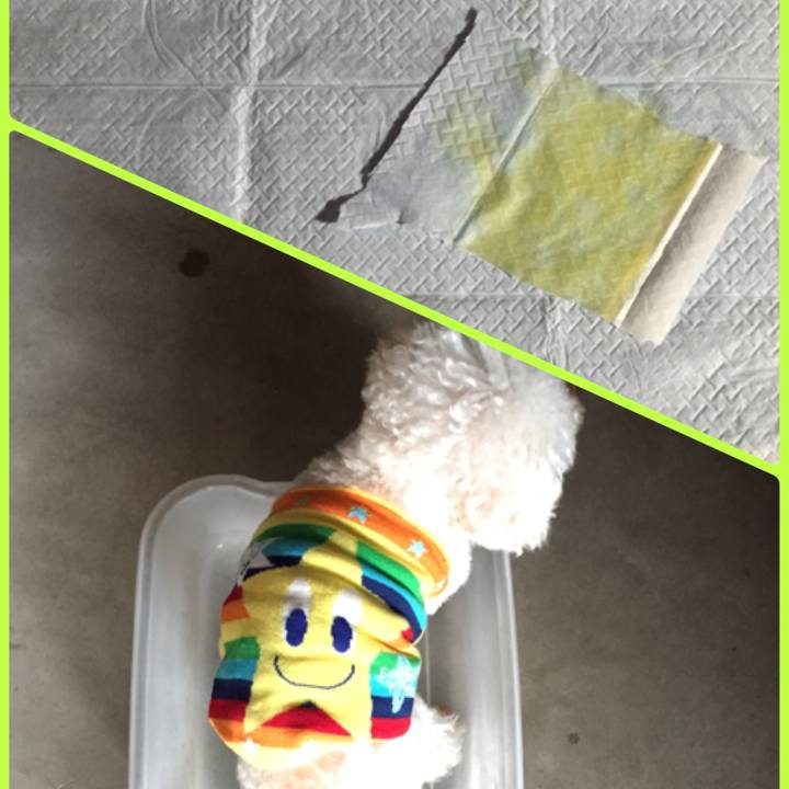 D955c238 91cc 4e82 a080 2f5a13c2002a