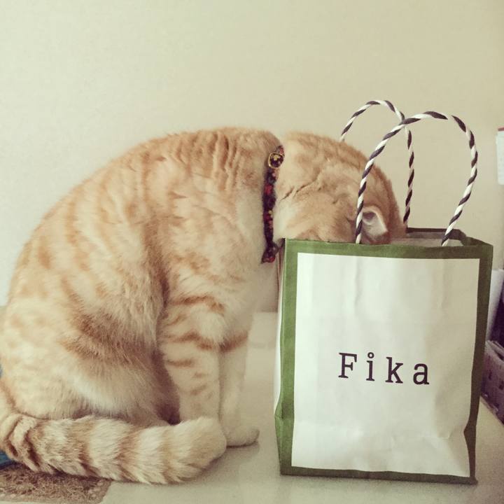 D955fe76 5124 4b01 b3d7 9683ab633482