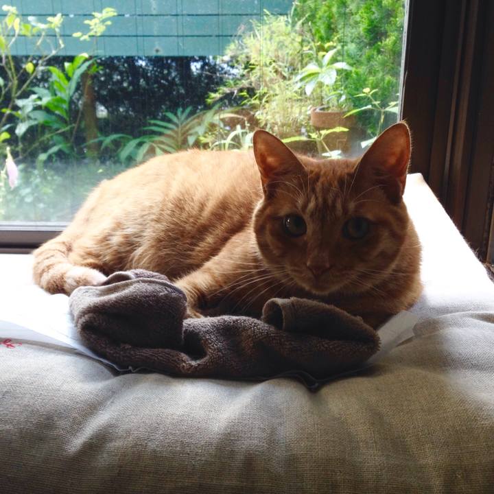 D956705b ee82 41e4 9d6d 70369455c45d