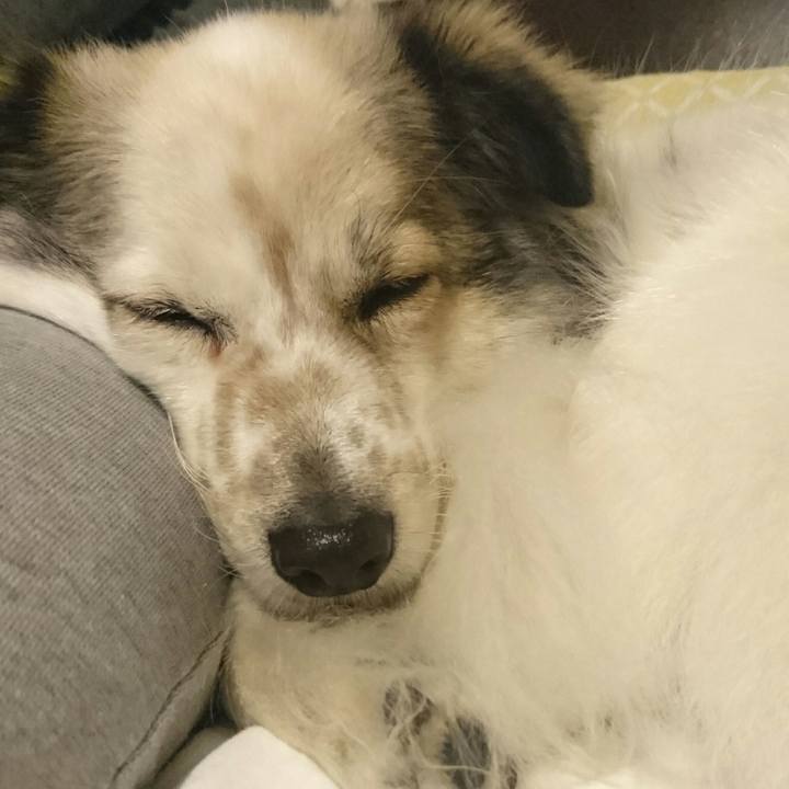 D956898c 115a 4922 bcc0 afd71dcb14e1