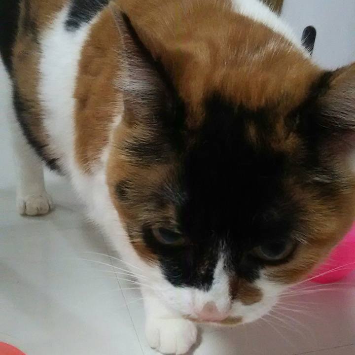 D95693ca 1c1b 4e24 a6d4 ac5a1c224332