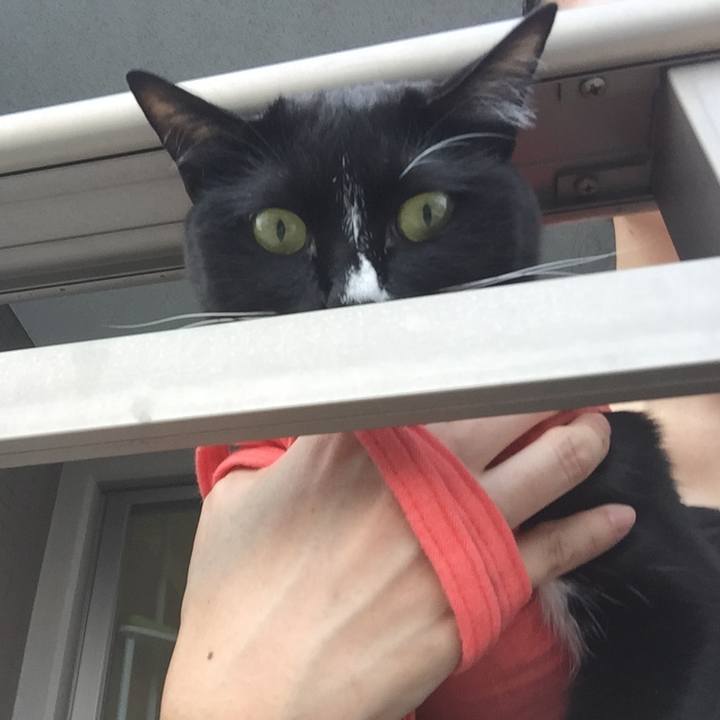 D9569b51 a326 459d 9415 b613efbba06f