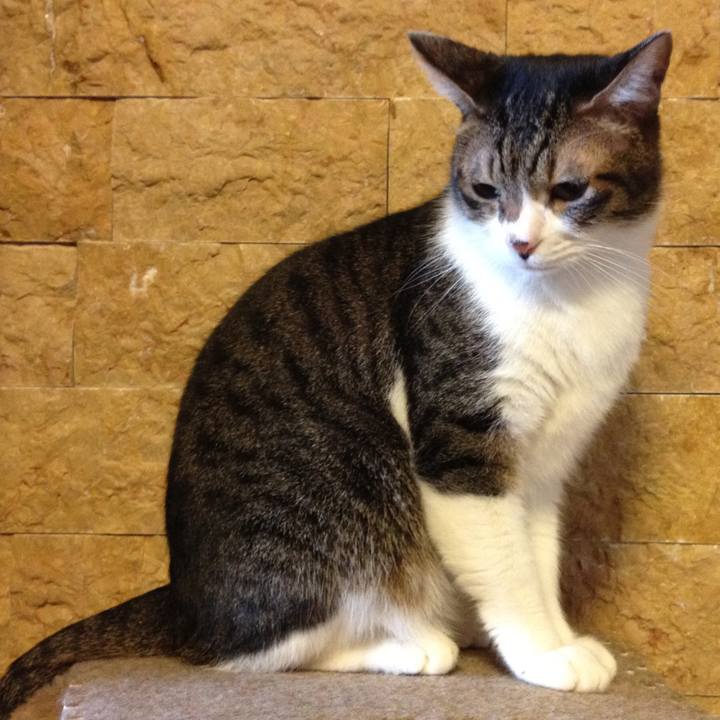 D956ffdc c911 43c4 8977 f78d91534480