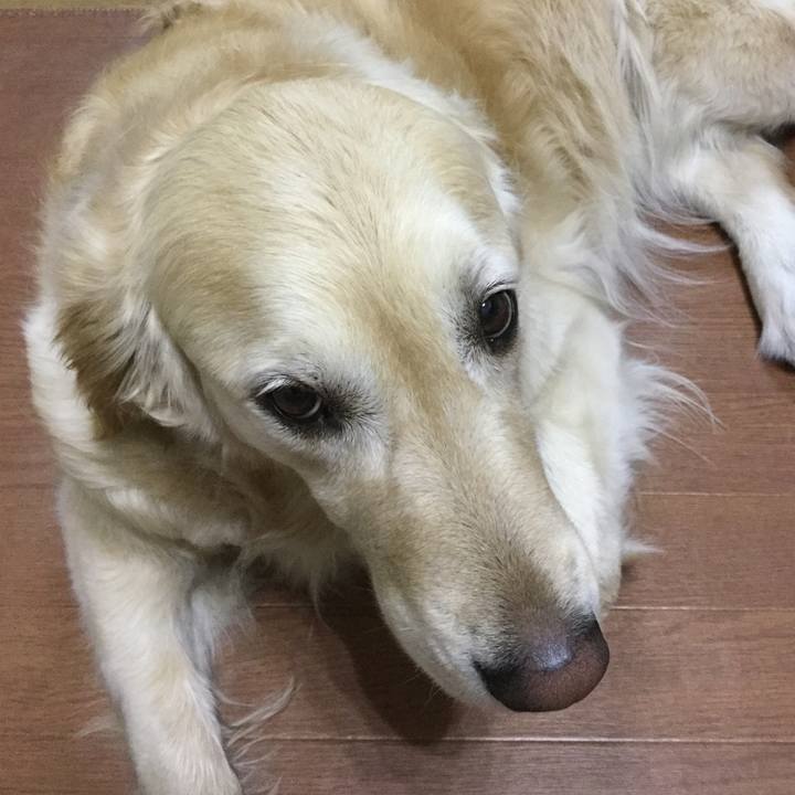 D95757c6 8fa9 4a55 bacf ccb0519fcd1f