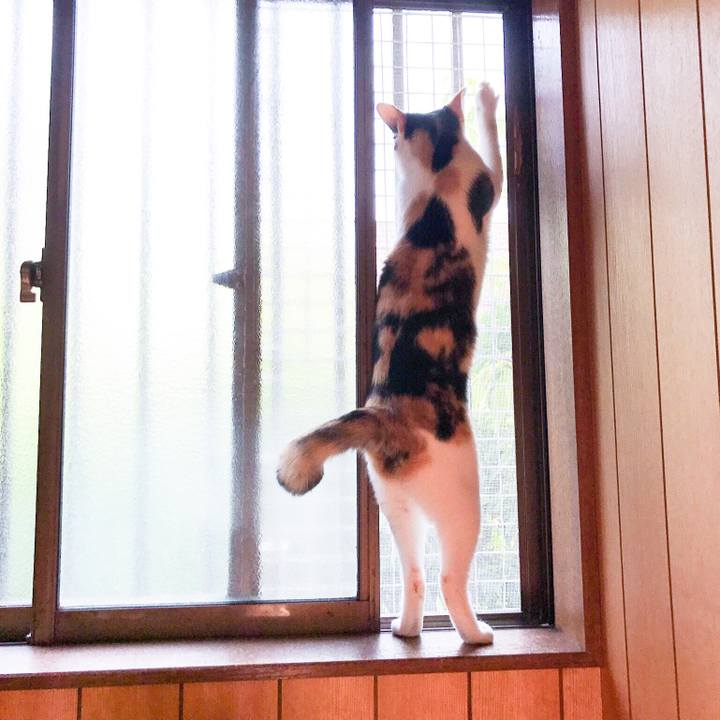 D957f159 c2e5 45f4 9feb 41b5d4dc41c3