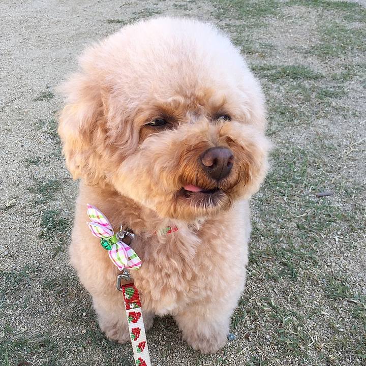 D958052f 27cc 493b bc2b 8ca7d8acaa48