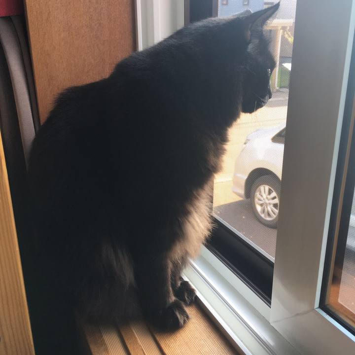 D9587028 2087 4cb7 aaac d4c04d5814cf