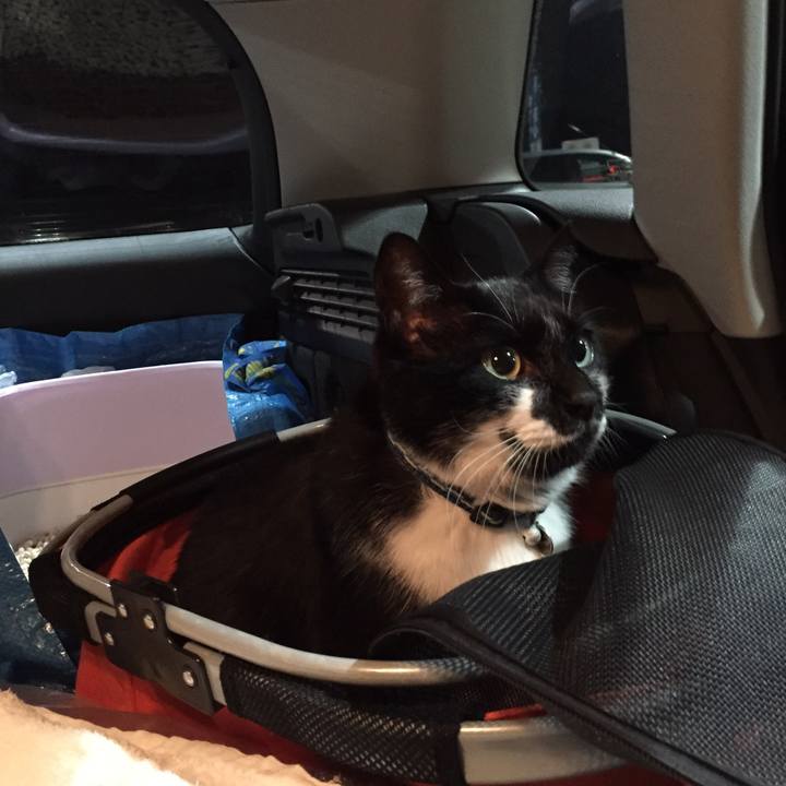 D959df38 2bed 4c2c 83b5 87663f6d9646