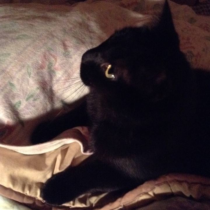 D959dfce 0770 494c 8cf1 3987b166980b