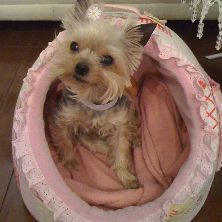 D959e971 301f 48d9 b334 daed02f336ed