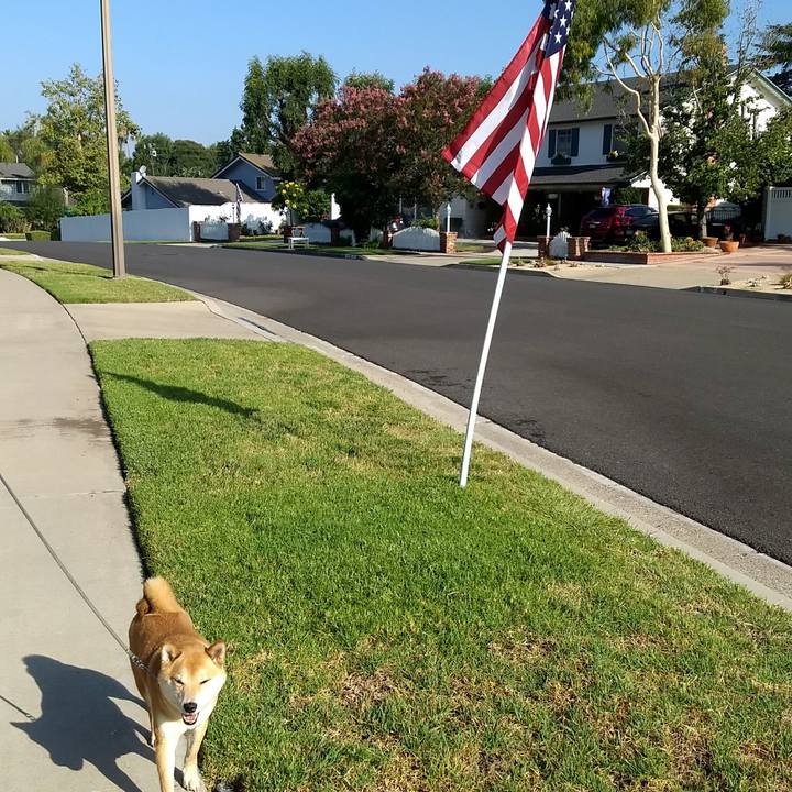 D95a3862 e326 4b62 aafd fc0712e714de