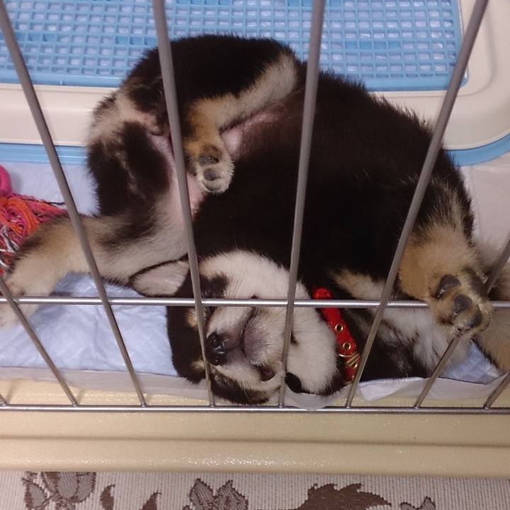 D95a48cc 95f9 4995 b27a 67aab23f99f5