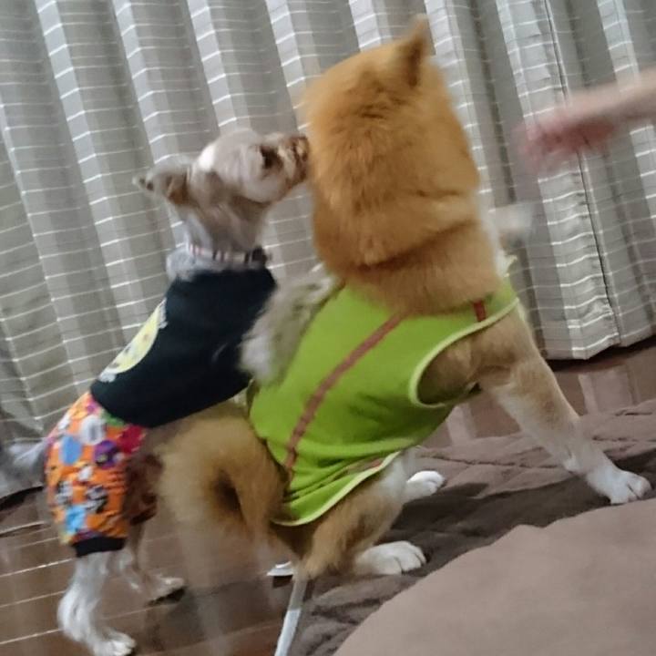 D95a8e2e e1f0 4650 a212 a0177da5cc1b