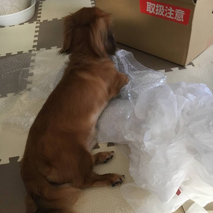 D95a9699 1e99 46e3 81de 204becb7277d