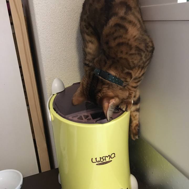 D95b8557 cacc 454d 9d4a 9d62df0cd770