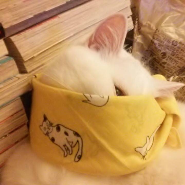 D95cbcde db48 43e5 bf1e 9a4817c0bef5