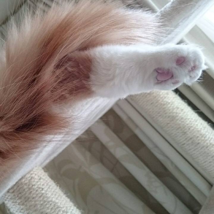 D95d7558 1115 4094 943a f72caa501da5