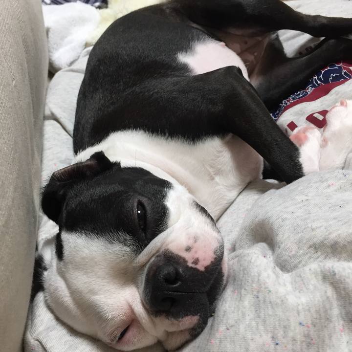 D95e2350 3a78 4018 8922 78d3e4c33906