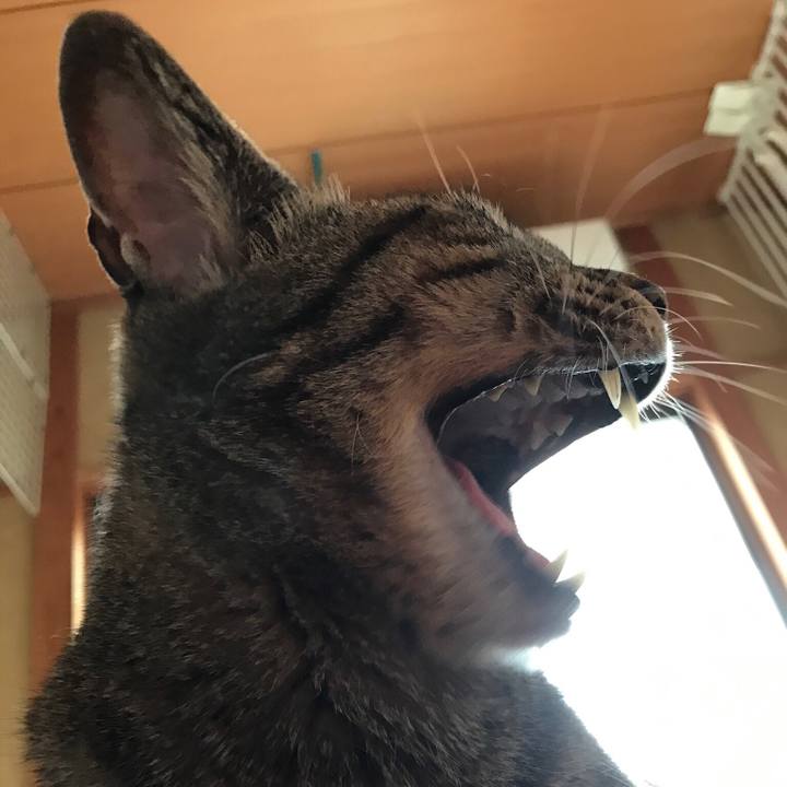 D95e2e32 4b18 40df 8a6e dcba19848fa2