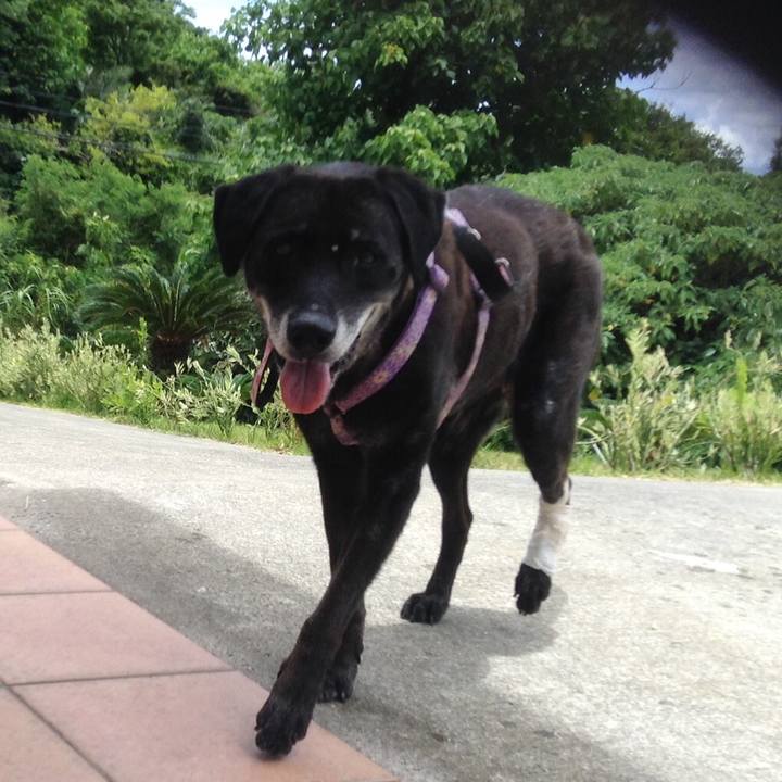 D95f3386 e1bf 42c3 afa1 9eb85b1f582d