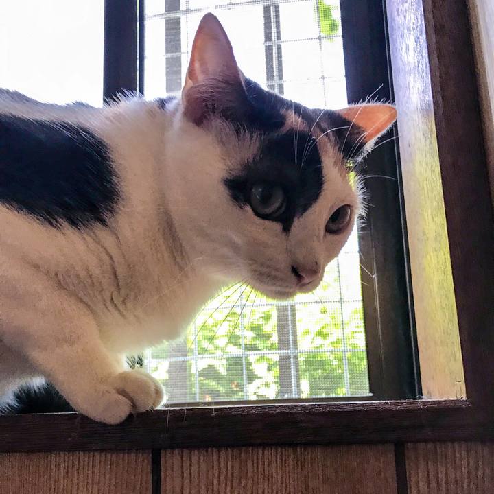 D95f659f 7075 4e68 92a4 7f6f2b612bf3