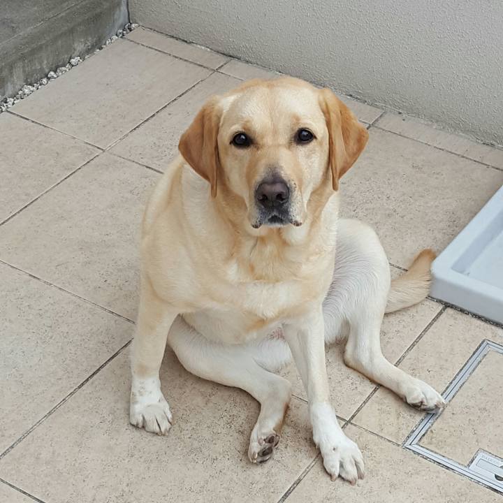 D95f75a6 aee8 4882 8e71 cef87c4256cf