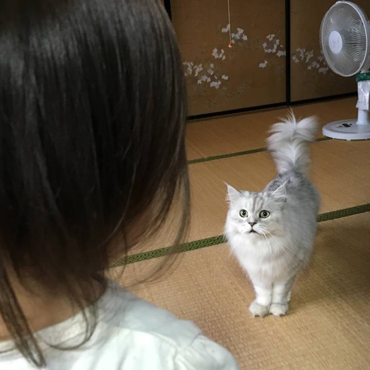 D95f7617 f618 4f56 afd9 10e166762cd0